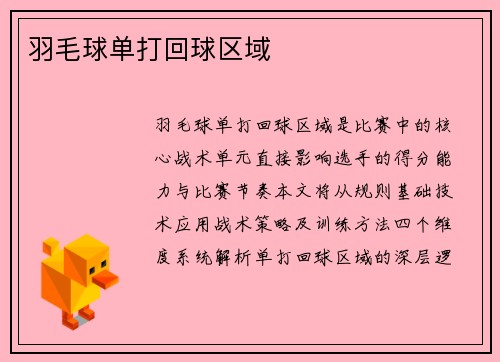 羽毛球单打回球区域