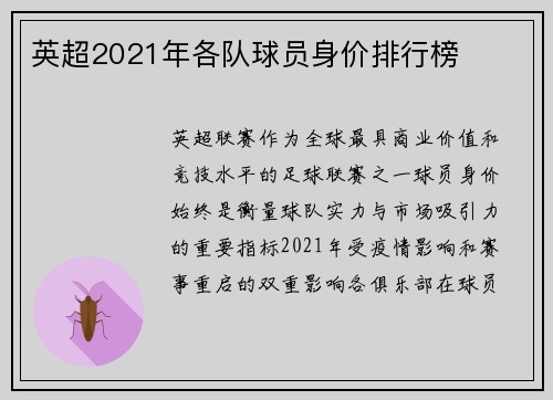 英超2021年各队球员身价排行榜